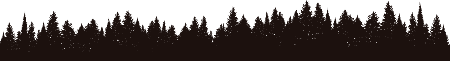 Forest Silhouette