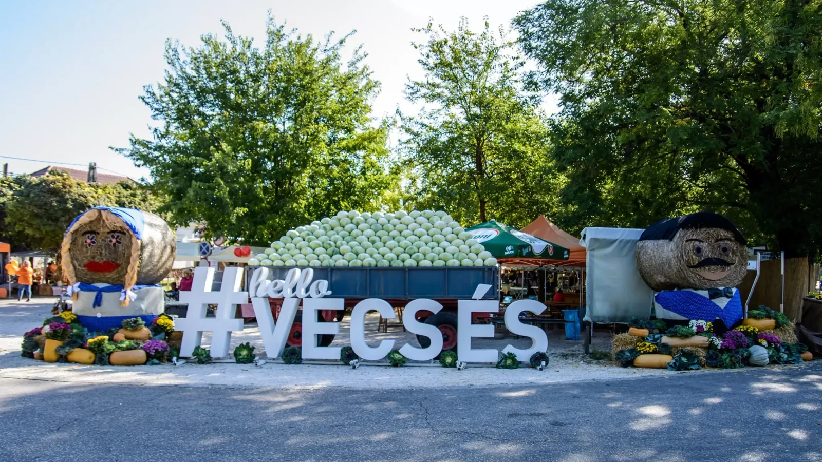 Konyhakész tűzifa házhozszállítás Vecsés és környékén