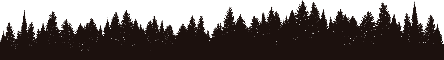 Forest Silhouette
