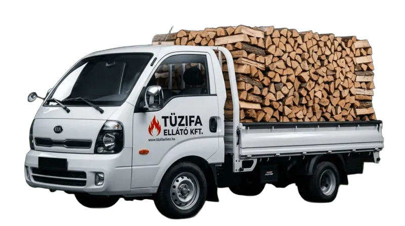 Tűzifa Ellátó KIA Delivery Truck